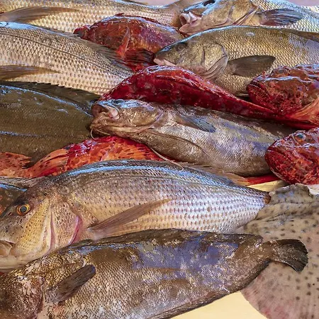 Le Maquis 5* Porticcio (Corsica)