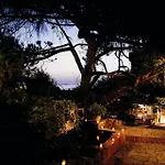 Le Maquis Porticcio (Corsica)