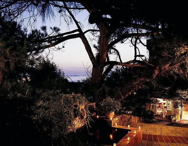 Le Maquis Porticcio (Corsica)