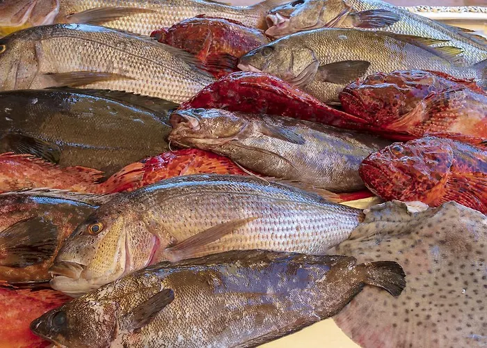 Le Maquis 5* Porticcio (Corsica)